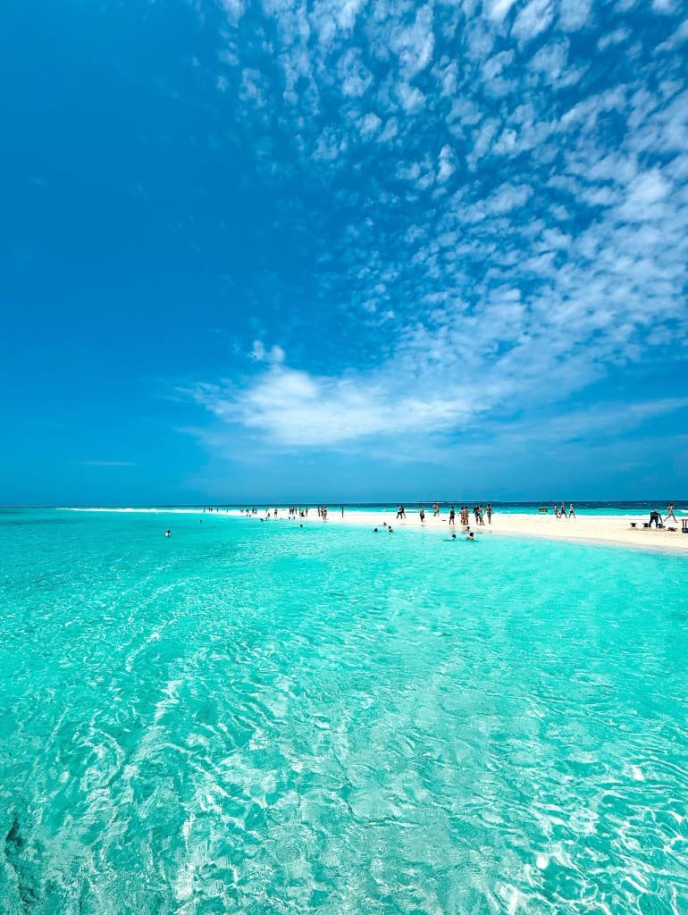 Gruppo in spiaggia con guida My Best Tour Zanzibar
