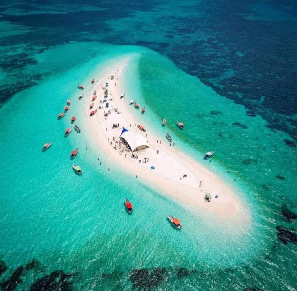 Pranzo di pesce in mare, Safari Blue Zanzibar