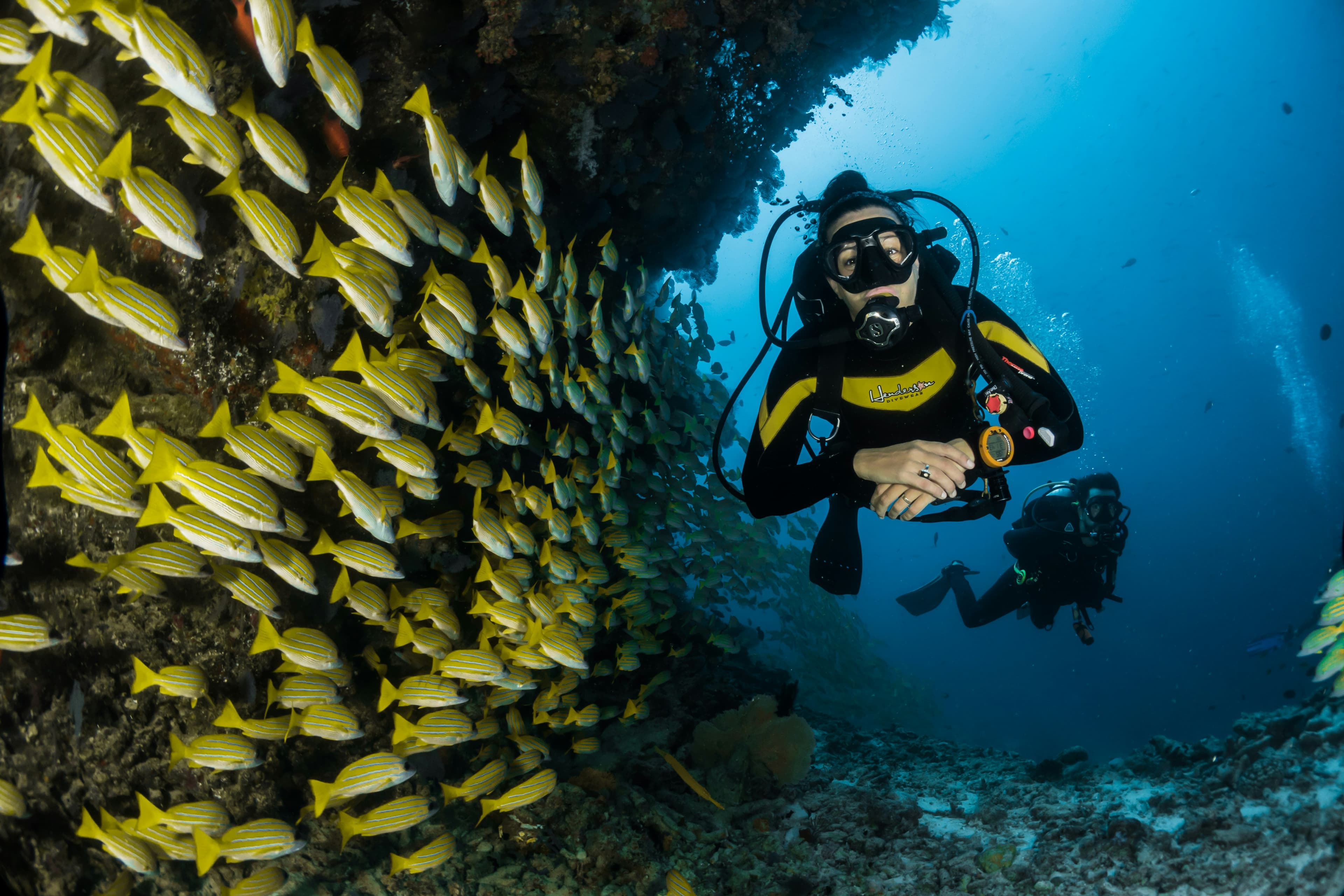 Escursione snorkeling Mnemba e delfini, tour Zanzibar