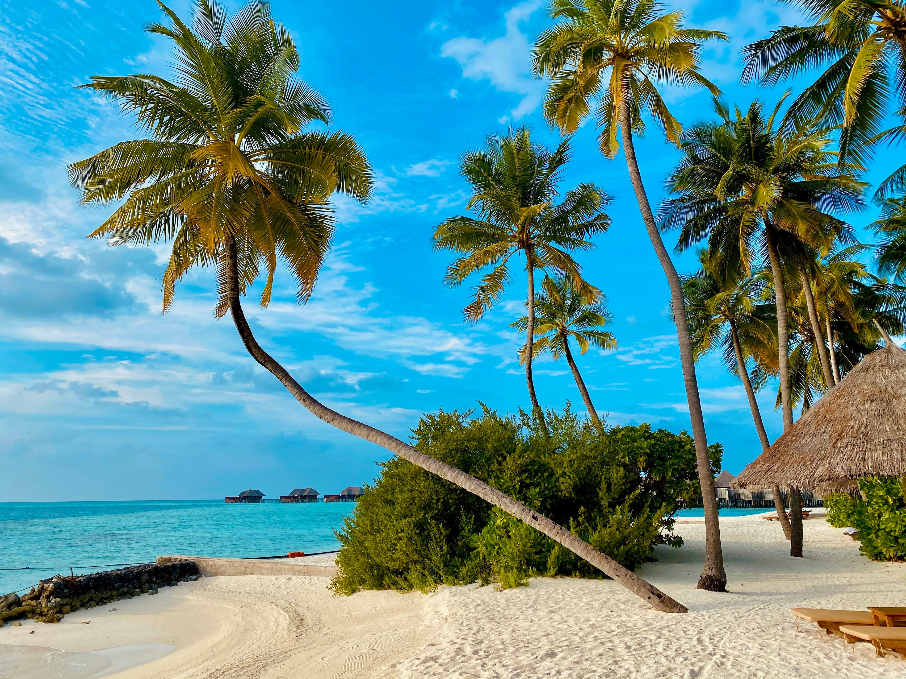 Tour Zanzibar a Stone Town e snorkeling a Nyange