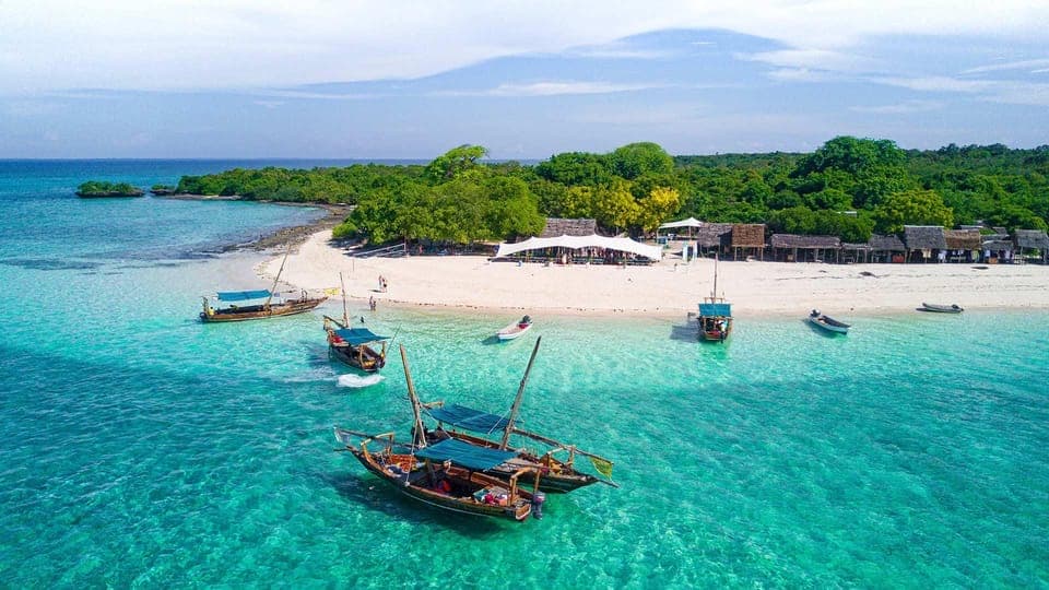 Safari Blue a Zanzibar: dhow sulle acque turchesi e spiaggia di sabbia bianca
