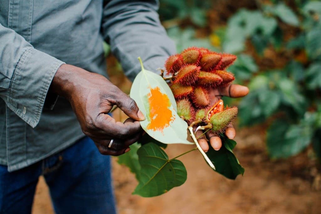 Escursione Spice Farm a Zanzibar: spezie annatto sulla foglia